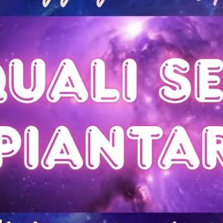 Canalizzazione 2026 - QUALI SEMI PIANTARE